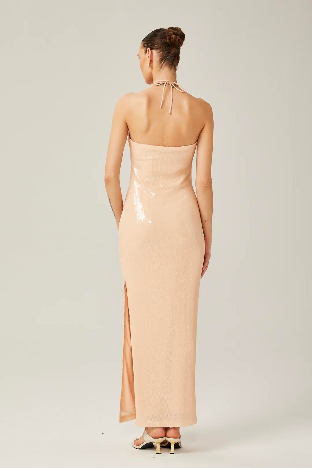 Belissatr™ | Gül Detaylı Payetli Maksi Elbise-Pudra