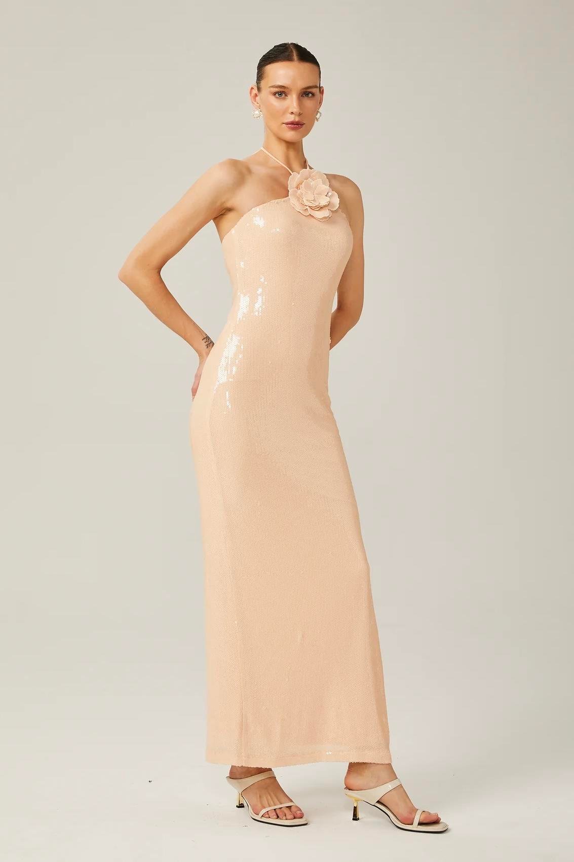 Belissatr™ | Gül Detaylı Payetli Maksi Elbise-Pudra