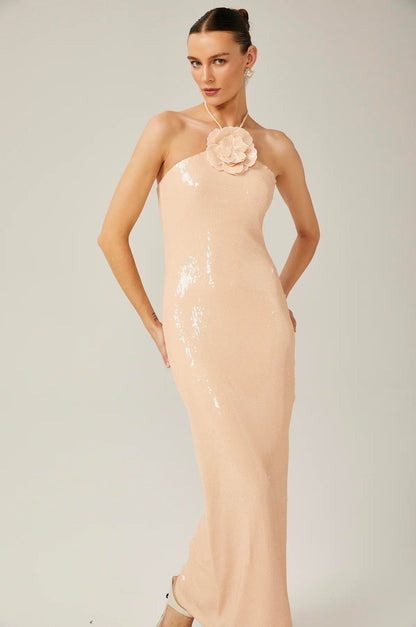 Belissatr™ | Gül Detaylı Payetli Maksi Elbise-Pudra